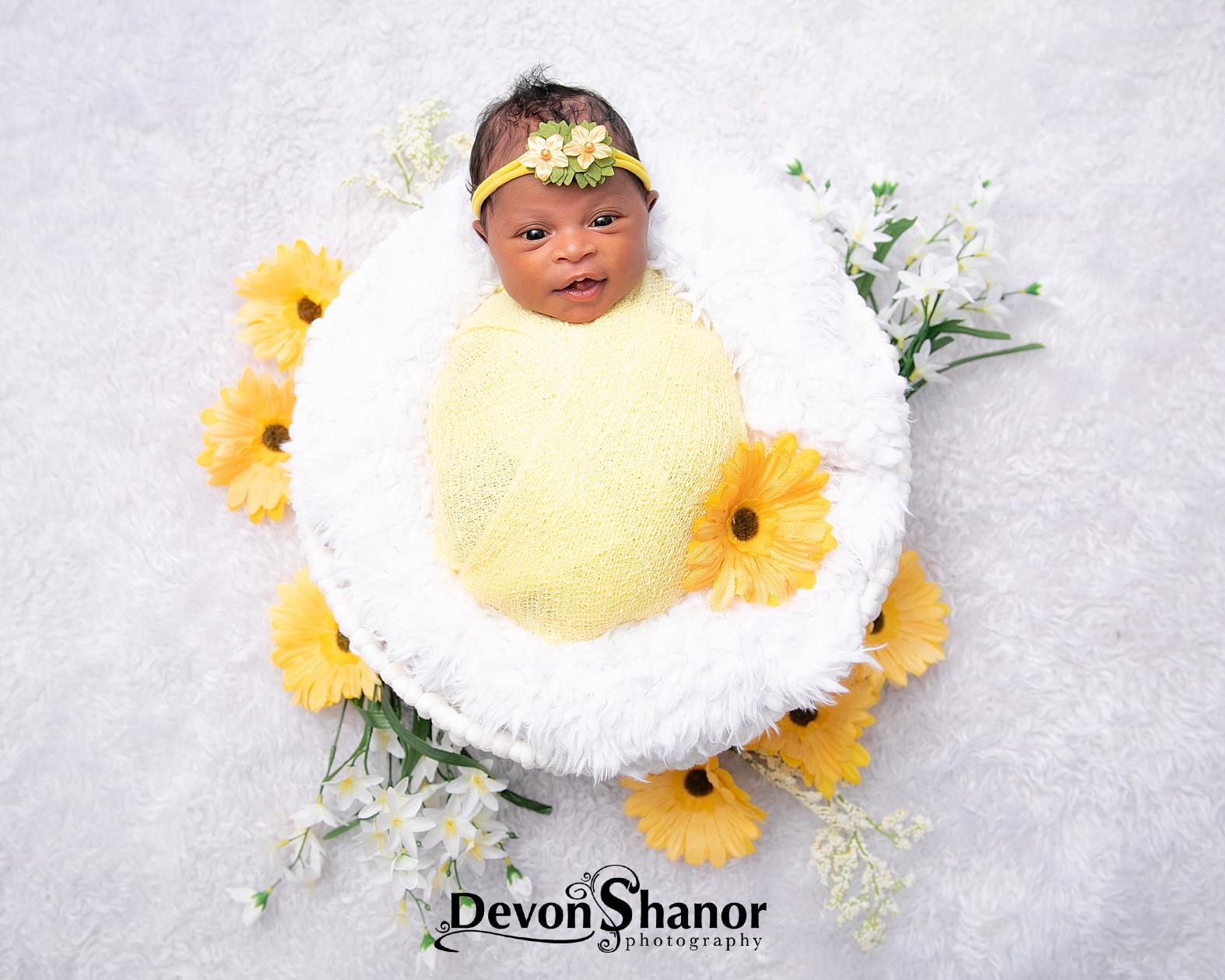 Wide Eyed and Alert | Newborn Photography